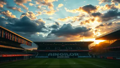 S. Fallon shines as Bangor battles Ards